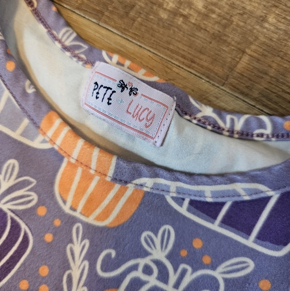 Girls Pete + Lucy Fall set size 6/6x - Picture 3 of 4